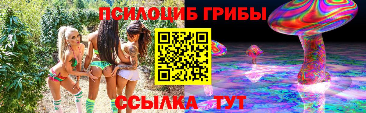 где продают наркотики  Вход с VPN  Сокол  Галлюциногенные грибы мицелий 